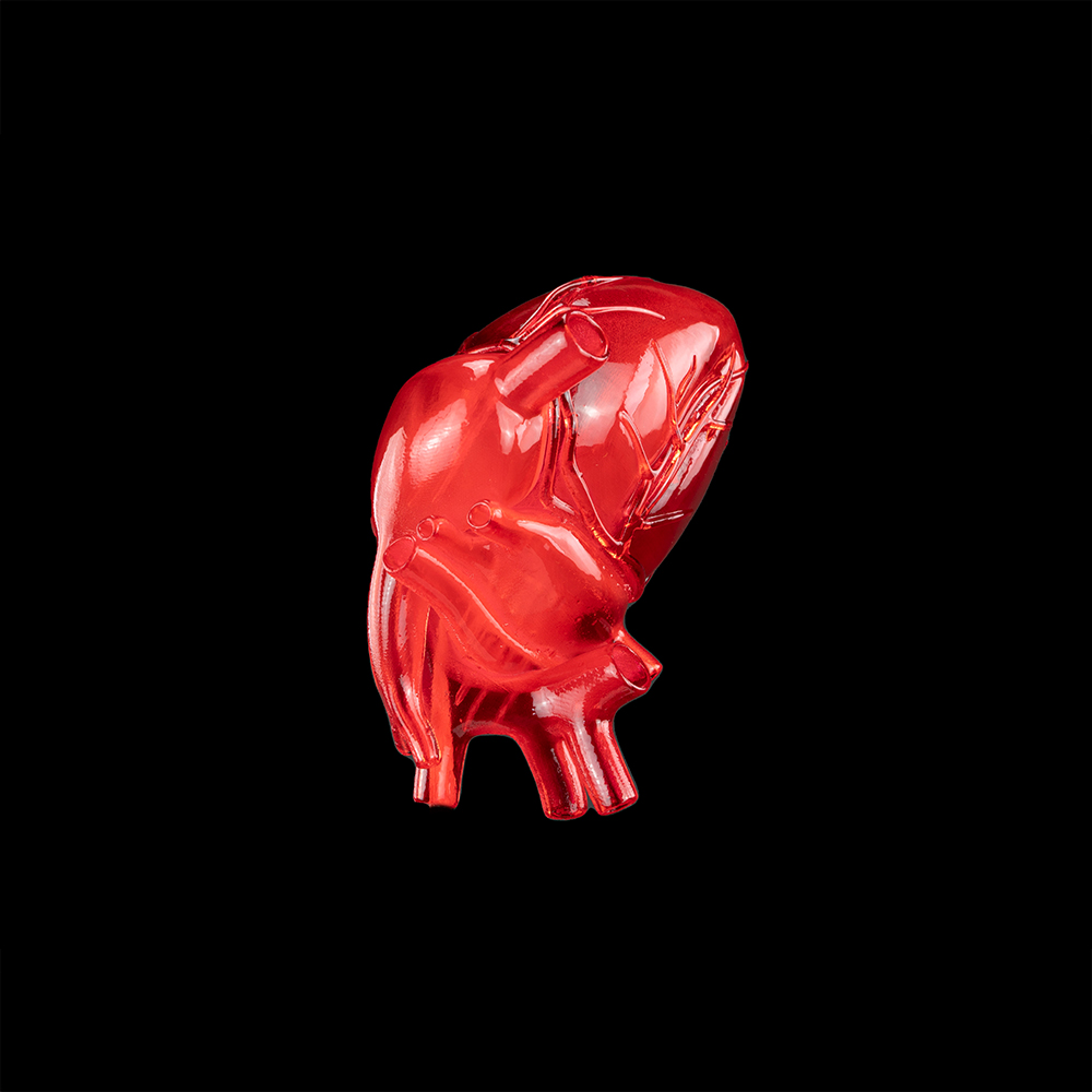 Clear 3D Printed Heart in Red SLA Resin